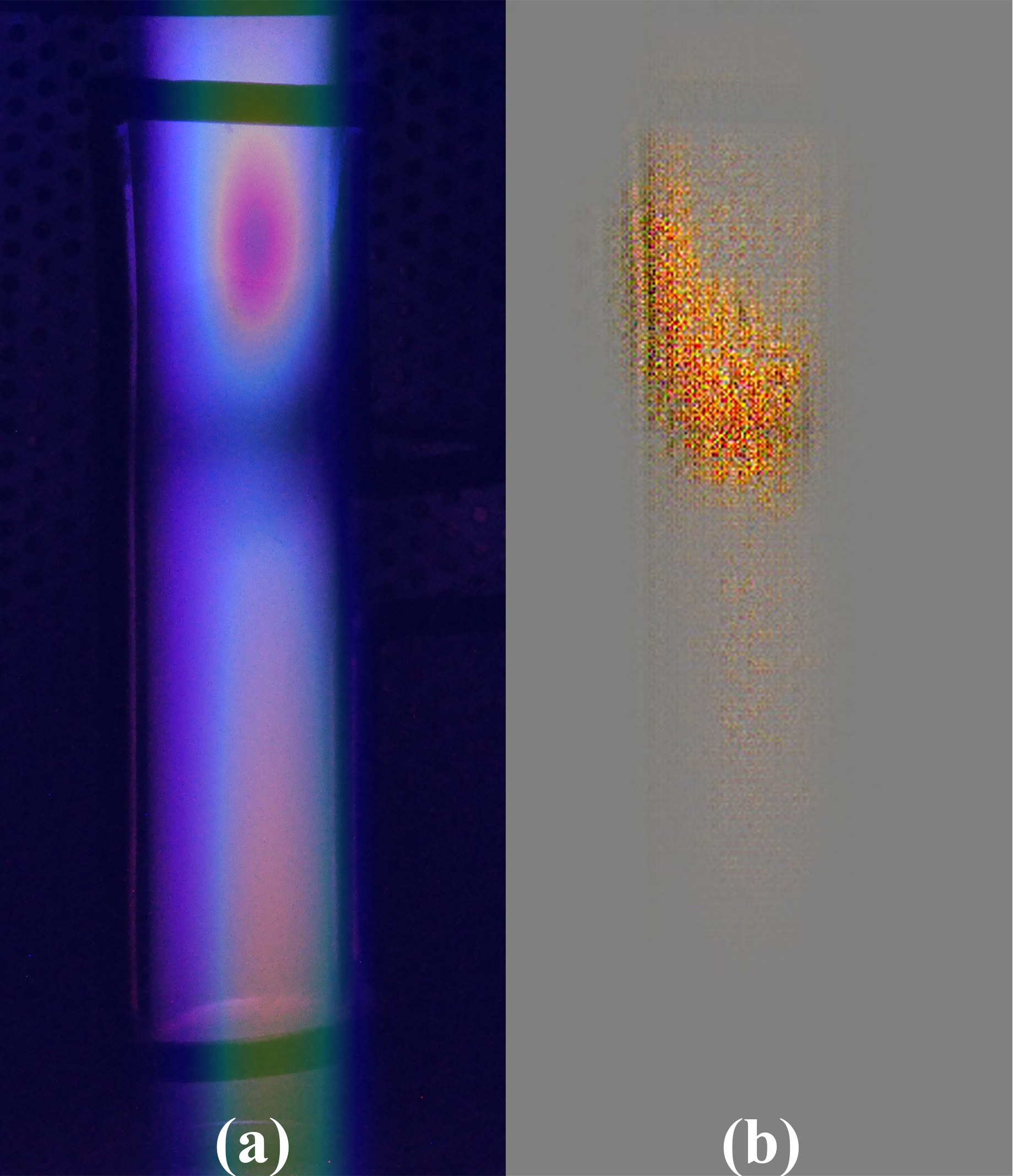 FIG. 6. Visualization of features: Grad-CAM++ heat map (a) and Guided Grad-CAM heat map (b).